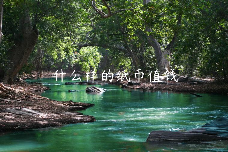 什么样的纸币值钱-第1张图片-币安app下载