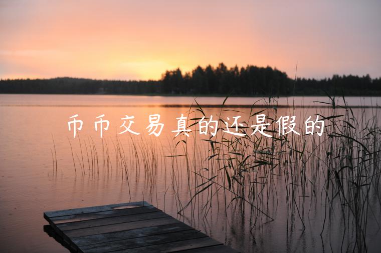 币币交易真的还是假的-第1张图片-币安app下载