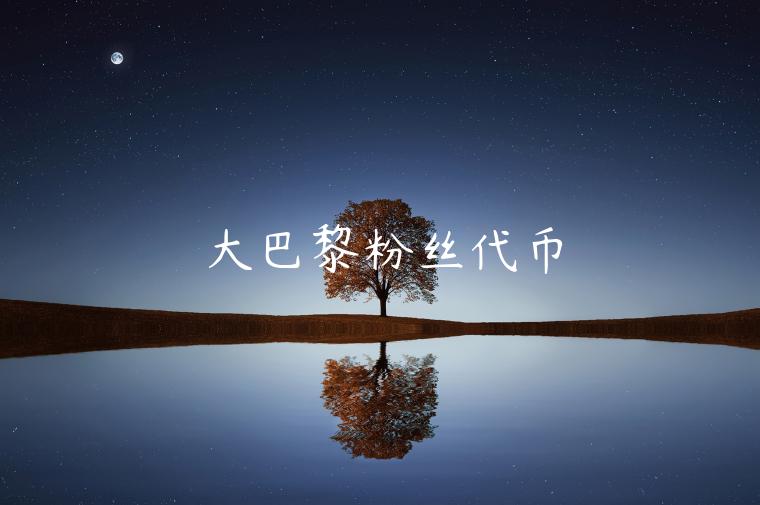 大巴黎粉丝代币-第1张图片-币安app下载