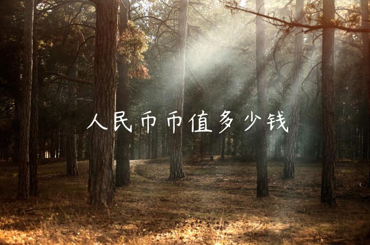 人民币币值多少钱-第1张图片-币安app下载