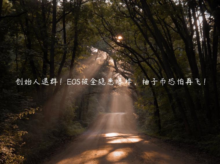 创始人退群！OS被全隐患爆炸，柚子币恐怕再飞！-第1张图片-币安app下载