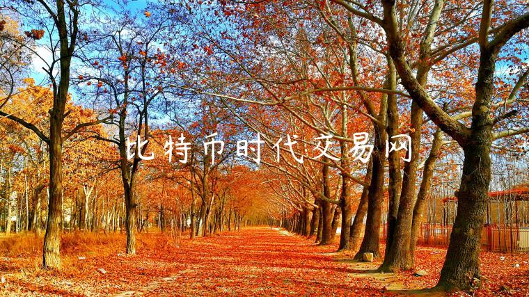 比特币时代交易网-第1张图片-币安app下载