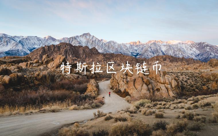 特斯拉区块链币-第1张图片-币安app下载