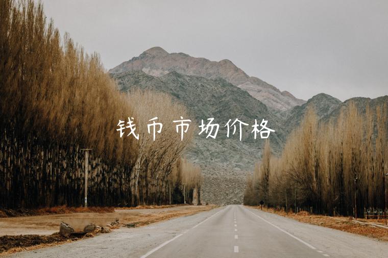 钱币市场价格-第1张图片-币安app下载
