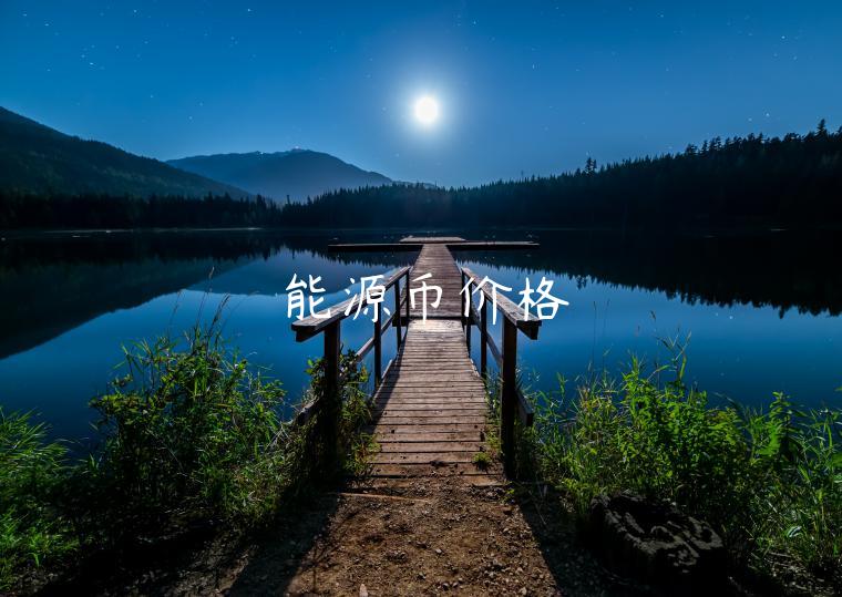 能源币价格-第1张图片-币安app下载