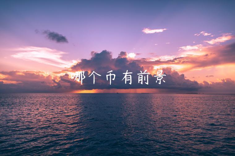 哪个币有前景-第1张图片-币安app下载