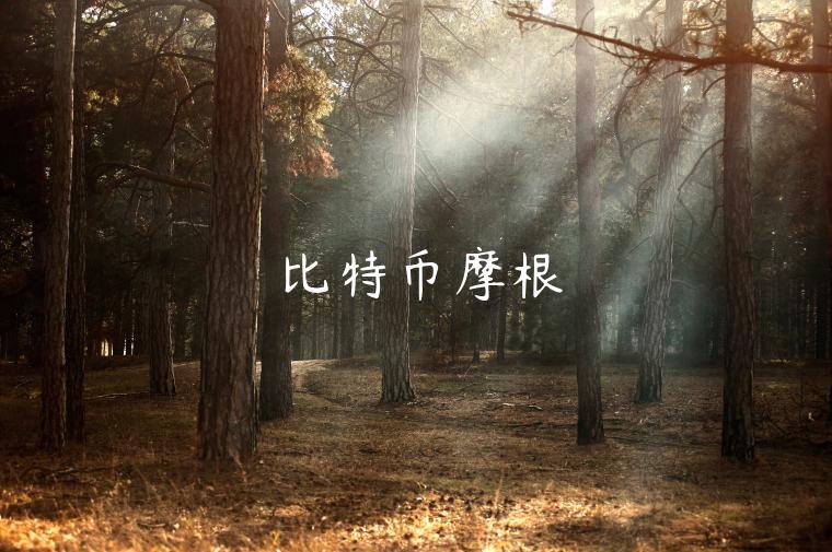 比特币摩根-第1张图片-币安app下载