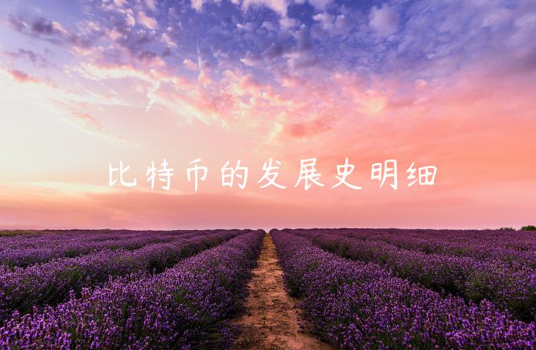 比特币的发展史明细-第1张图片-币安app下载