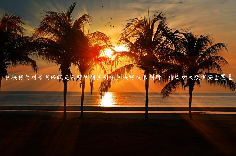 区块链与对等网络欧克云链徐明星引领区块链技术创新，持续加大数据安全赛道-第1张图片-币安app下载