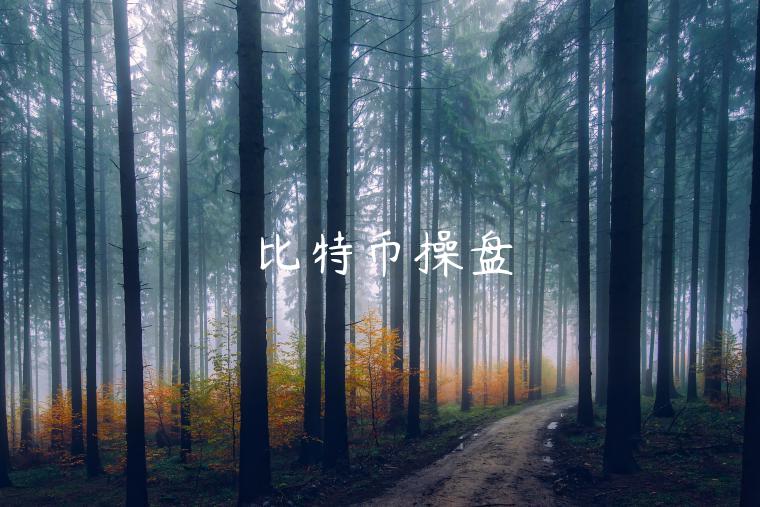比特币操盘-第1张图片-币安app下载
