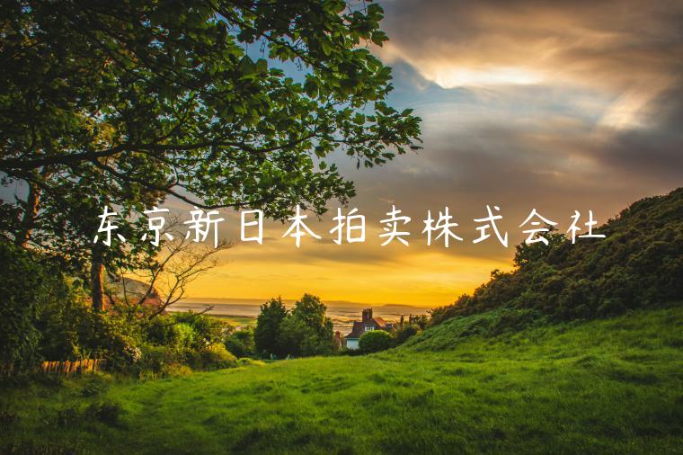 东京新日本拍卖株式会社-第1张图片-币安app下载
