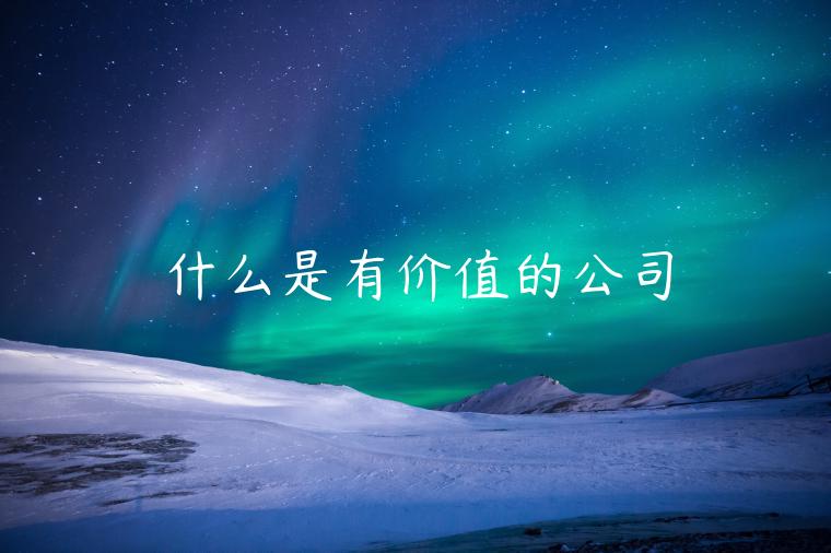 什么是有价值的公司-第1张图片-币安app下载