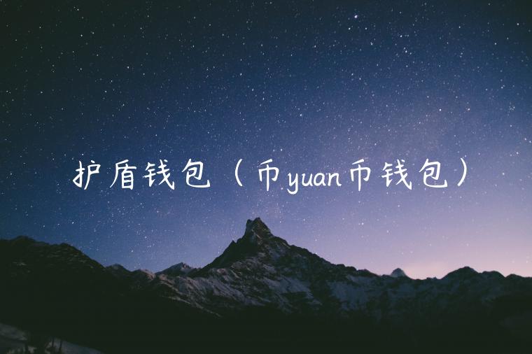 护盾钱包（币yuan币钱包）-第1张图片-币安app官方下载最新版