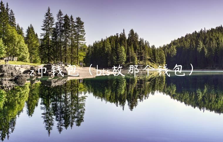 z币钱包（bts放那个钱包）-第1张图片-币安app官方下载最新版
