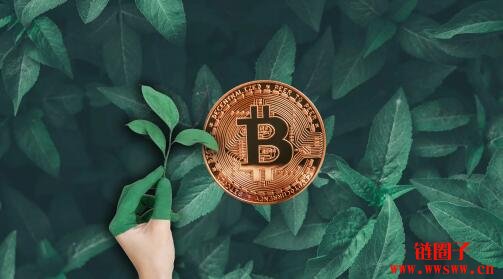 狗币钱包（rvn钱包手续费）-第3张图片-币安app官方下载最新版