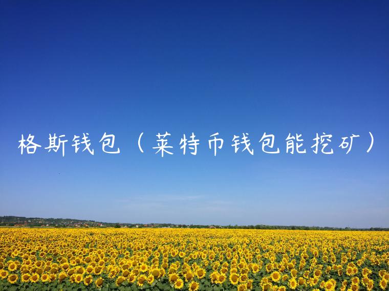 格斯钱包（莱特币钱包能挖矿）-第1张图片-币安app官方下载最新版