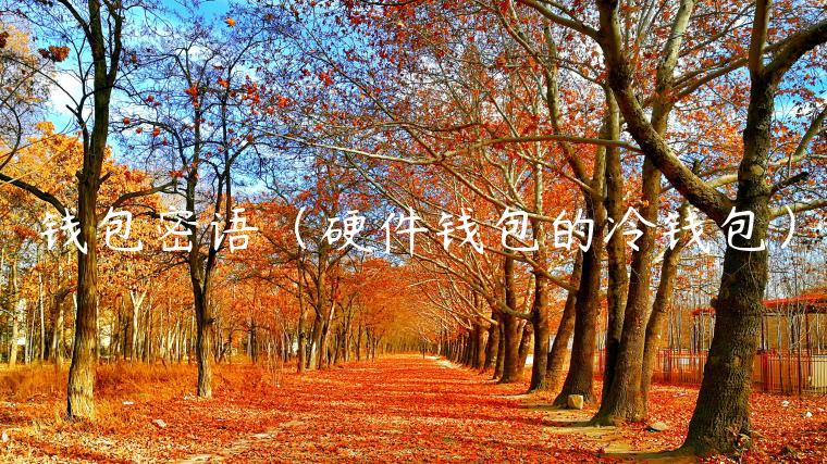 钱包密语（硬件钱包的冷钱包）-第1张图片-币安app官方下载最新版