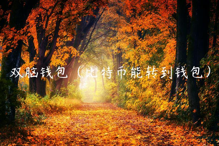 双脑钱包（比特币能转到钱包）-第1张图片-币安app官方下载最新版