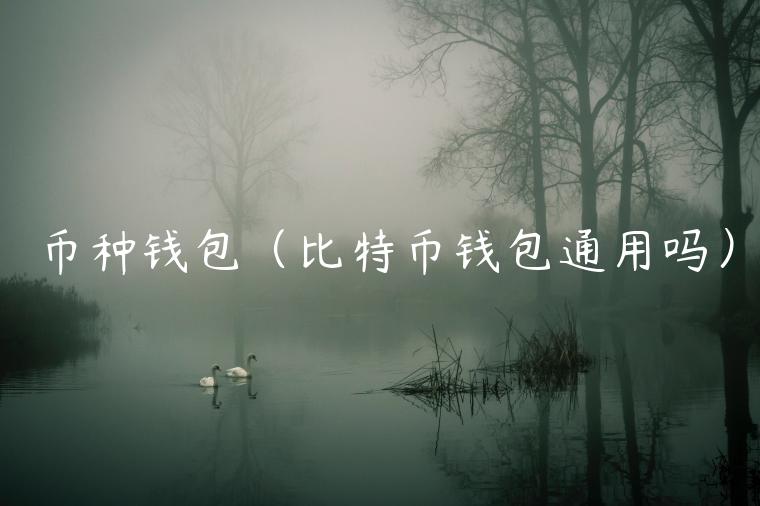 币种钱包（比特币钱包通用吗）-第1张图片-币安app官方下载最新版