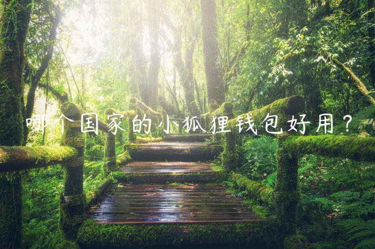 哪个国家的小狐狸钱包好用？-第1张图片-币安app官方下载最新版