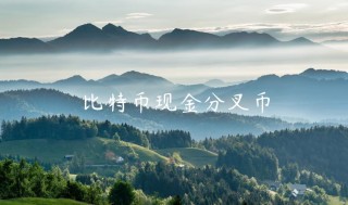 比特币现金分叉币