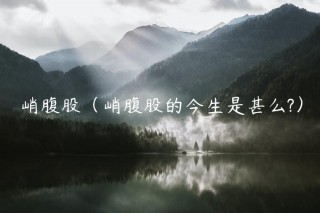 峭腹股（峭腹股的今生是甚么?）