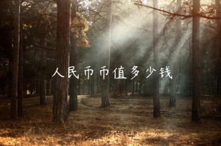 人民币币值多少钱