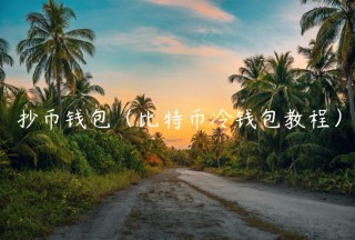 抄币钱包（比特币冷钱包教程）_ok交易所