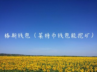 格斯钱包（莱特币钱包能挖矿）_ok交易所