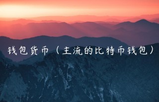 钱包货币（主流的比特币钱包）_ok交易所