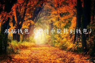 双脑钱包（比特币能转到钱包）_ok交易所