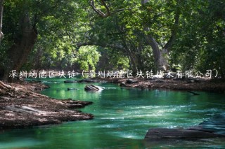 深圳炳德区块链（深圳炳德区块链技术有限公司）