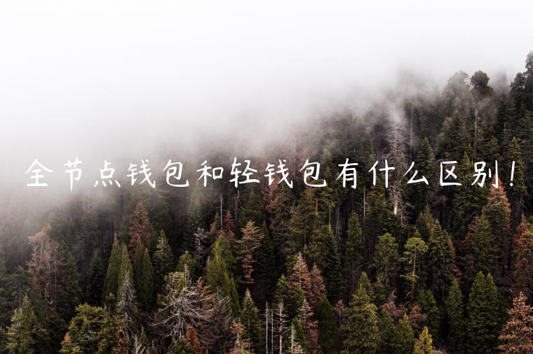 全节点钱包和轻钱包有什么区别！-第1张图片-币安app官方下载最新版