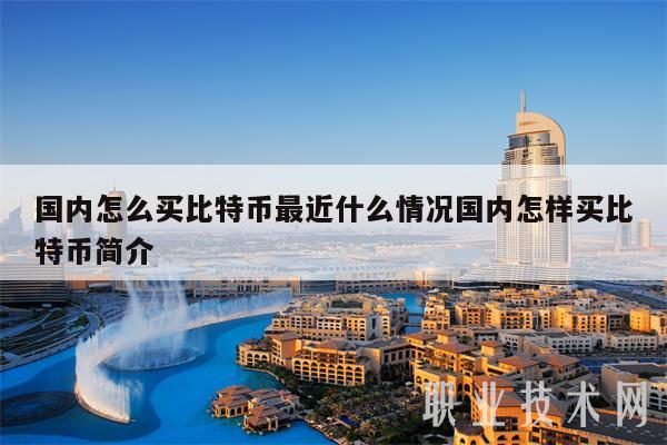 国内怎么买比特币最近什么情况国内怎样买比特币简介-第1张图片-币安app下载