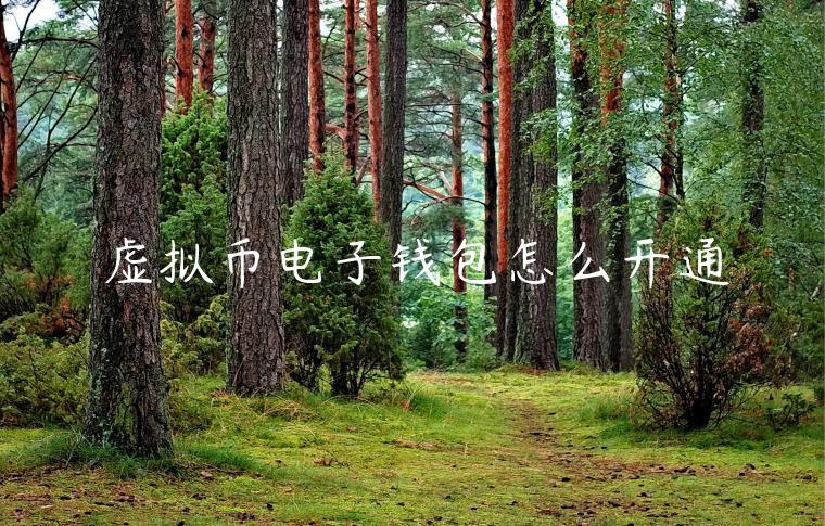 虚拟币电子钱包怎么开通-第1张图片-币安app官方下载最新版