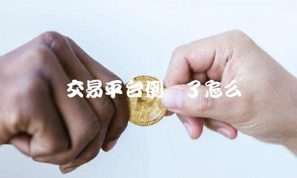币交易平台倒闭了怎么办-第1张图片-币安app下载