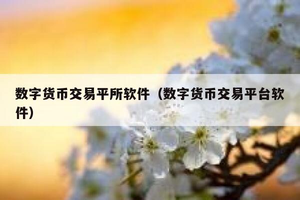 数字货币交易平所软件（数字货币交易平台软件）-第1张图片-币安app下载