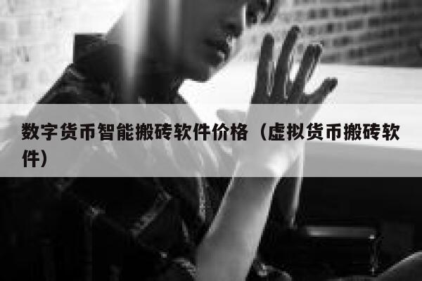 数字货币智能搬砖软件价格（虚拟货币搬砖软件）-第1张图片-币安app下载