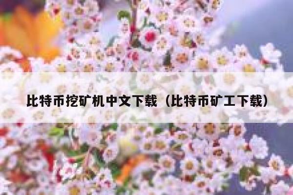 比特币挖矿机中文下载（比特币矿工下载）-第1张图片-币安app下载