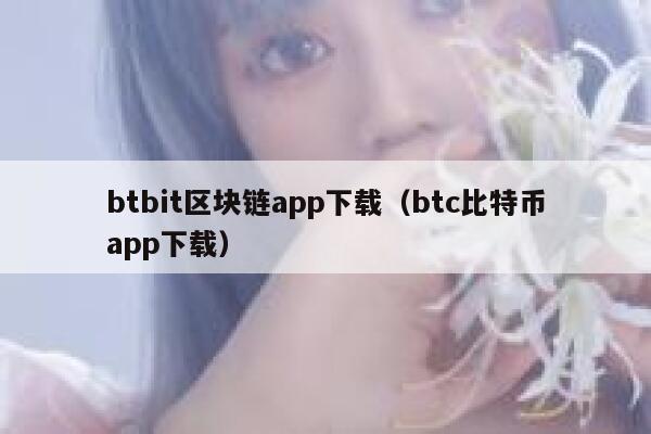 btbit区块链app下载（btc比特币app下载）-第1张图片-币安app下载