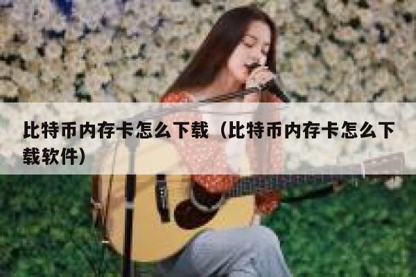 比特币内存卡怎么下载（比特币内存卡怎么下载软件）-第1张图片-币安app下载
