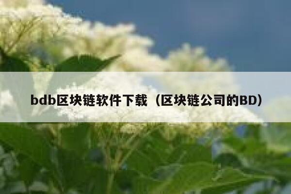 bdb区块链软件下载（区块链公司的BD）-第1张图片-币安app下载