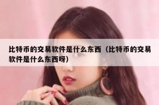 比特币的交易软件是什么东西（比特币的交易软件是什么东西呀）