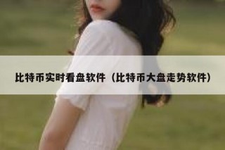 比特币实时看盘软件（比特币大盘走势软件）