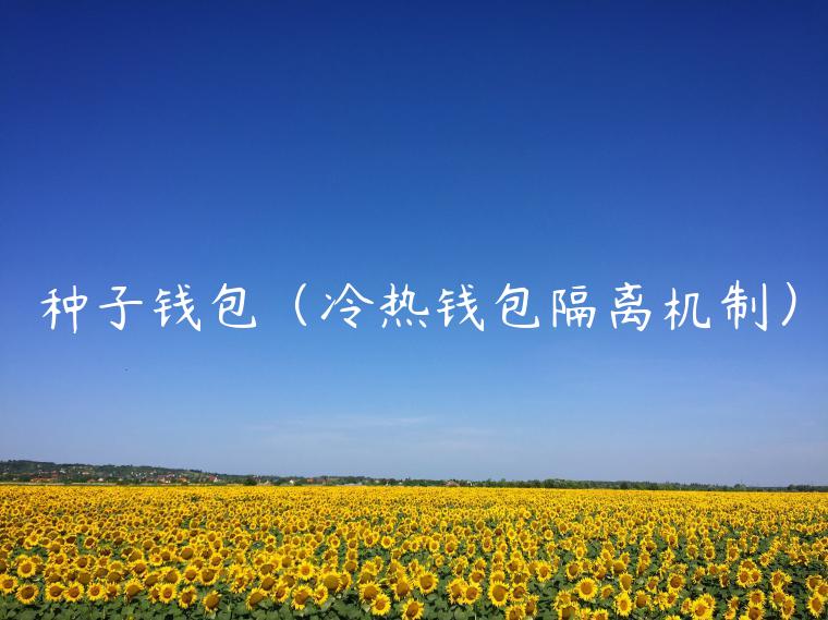 种子钱包（冷热钱包隔离机制）-第1张图片-币安app官方下载最新版