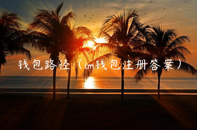钱包路径（im钱包注册答案）-第1张图片-币安app官方下载最新版
