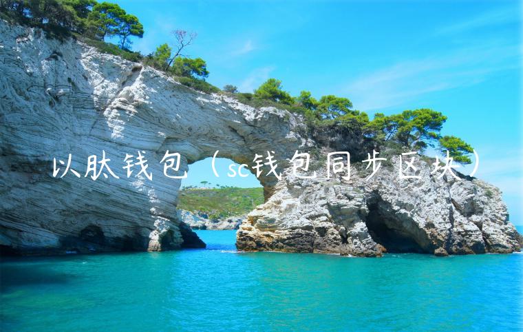 以肽钱包（sc钱包同步区块）-第1张图片-币安app官方下载最新版