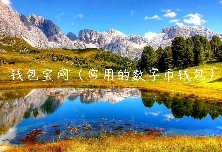 钱包宝网（常用的数字币钱包）-第1张图片-币安app官方下载最新版