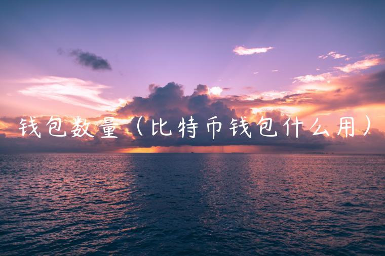 钱包数量（比特币钱包什么用）-第1张图片-币安app官方下载最新版