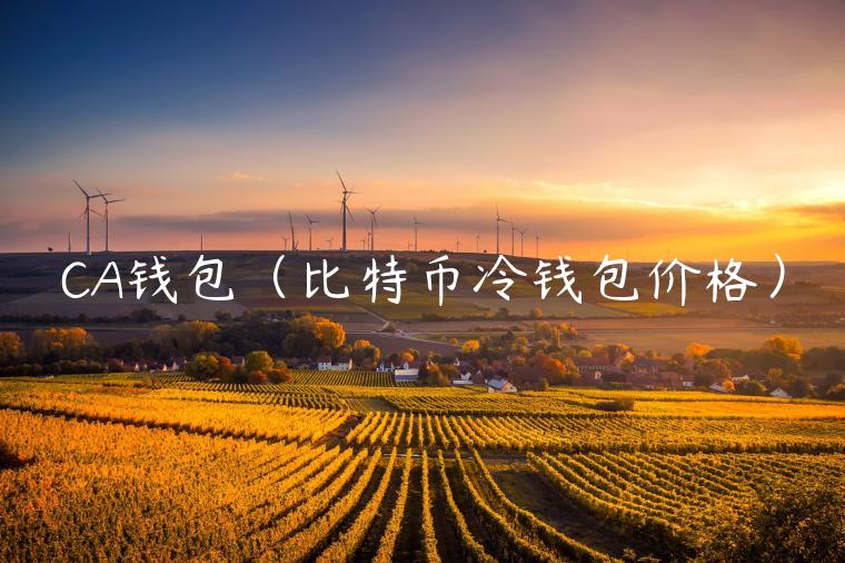 CA钱包（比特币冷钱包价格）-第1张图片-币安app官方下载最新版